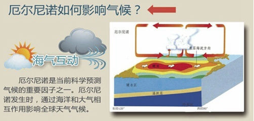 厄爾尼諾